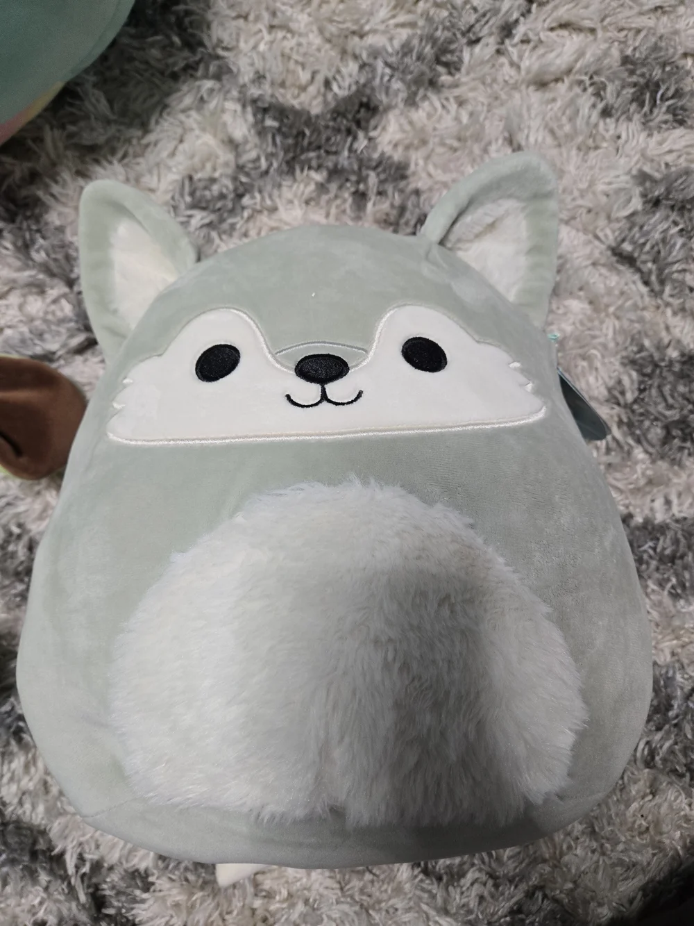 Squishmallows Oakley Wolf 11